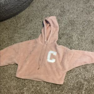 Champions sweatshirts